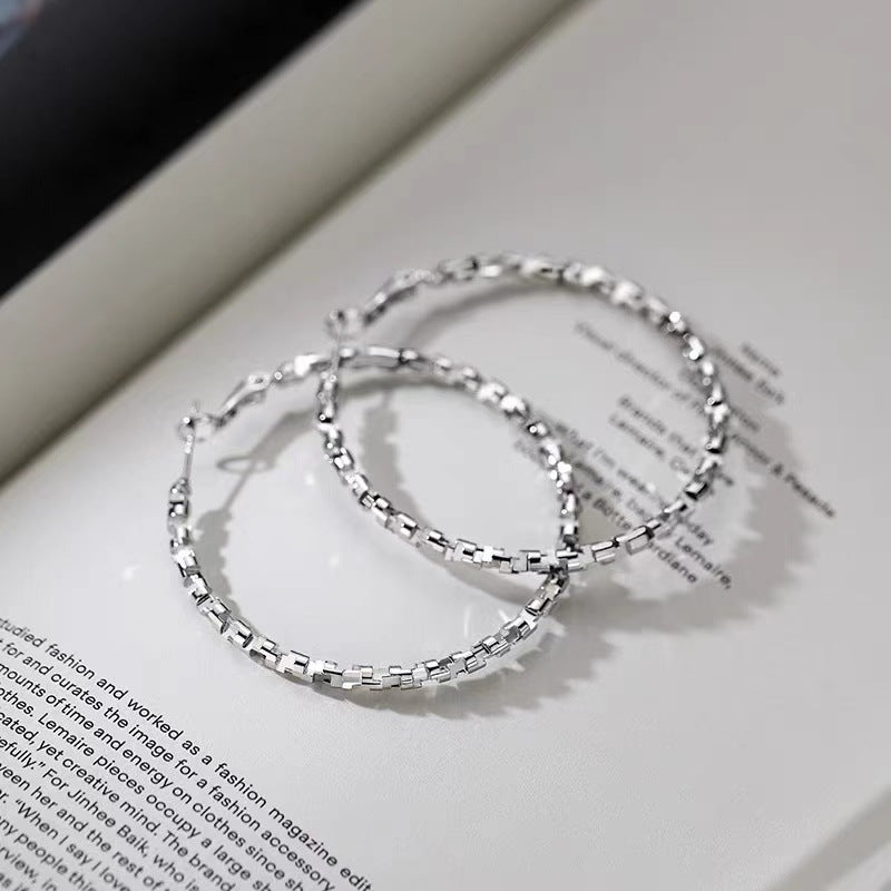 925银针碎银子耳环轻奢新款2024爆款耳钉女小众高级感耳饰