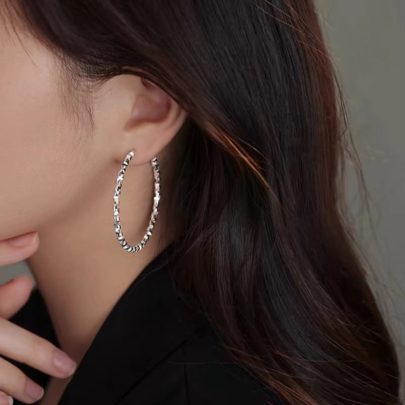 925银针碎银子耳环轻奢新款2024爆款耳钉女小众高级感耳饰