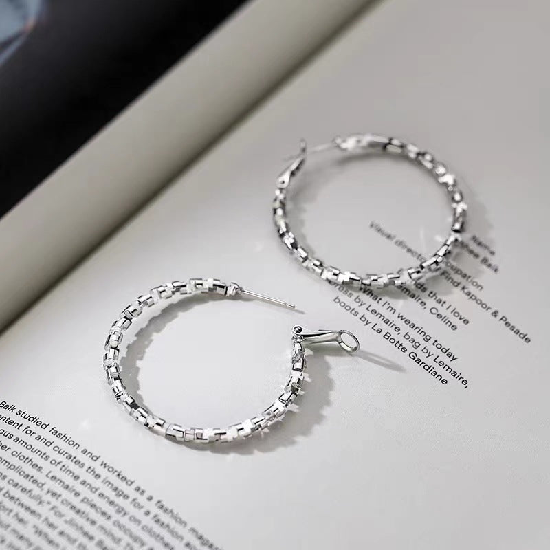 925银针碎银子耳环轻奢新款2024爆款耳钉女小众高级感耳饰