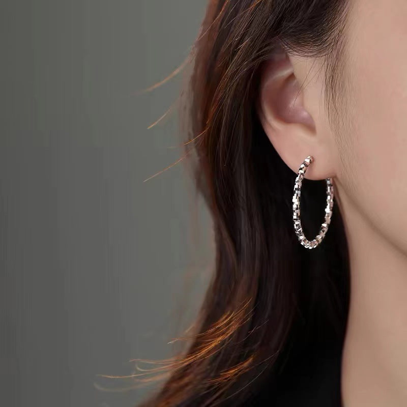 925银针碎银子耳环轻奢新款2024爆款耳钉女小众高级感耳饰