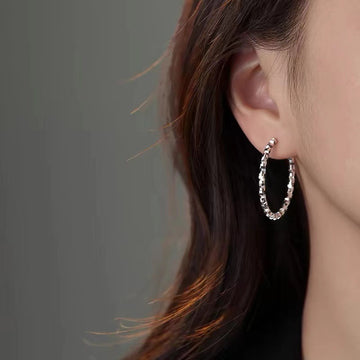 925银针碎银子耳环轻奢新款2024爆款耳钉女小众高级感耳饰