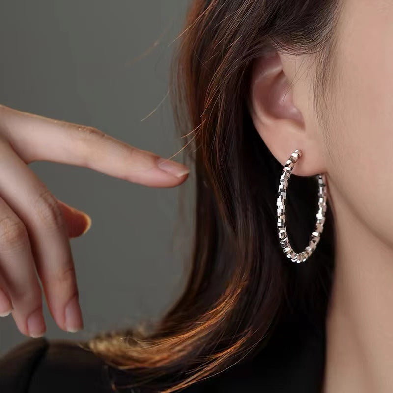 925银针碎银子耳环轻奢新款2024爆款耳钉女小众高级感耳饰